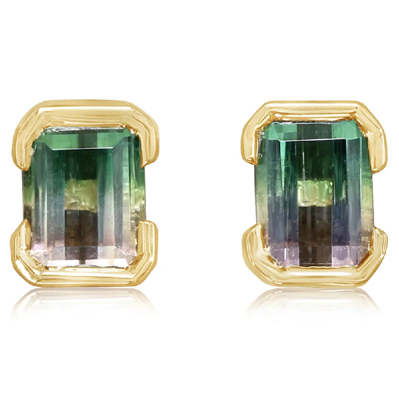 Bold And Beautiful Jewelry Now At Irresistible Prices 14K Yellow Gold Bi-Color Tourmaline Earrings