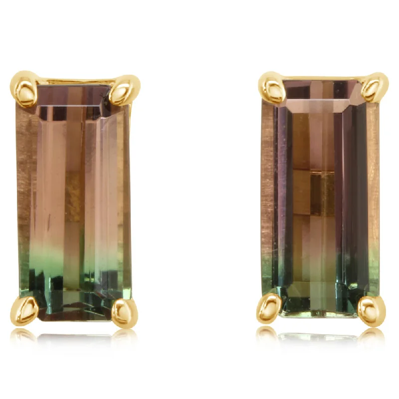 Accessorize For Less – Luxury Jewelry At Affordable Prices 14K Yellow Gold Bi-Color Tourmaline Earrings