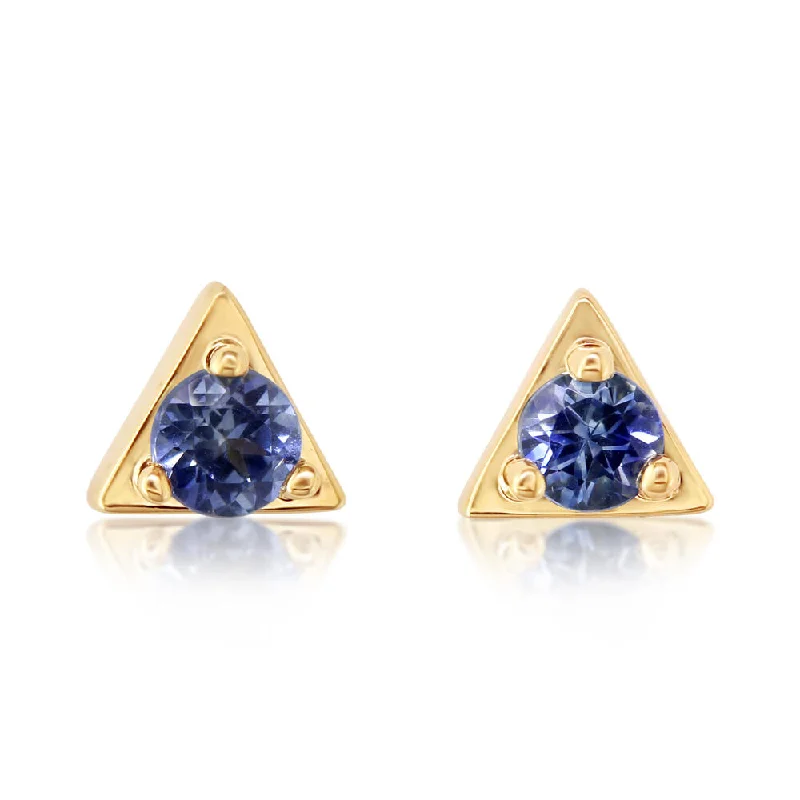 Your Dream Jewelry At Dream Prices – Shop Now 14K Yellow Gold Blue Topaz Earrings