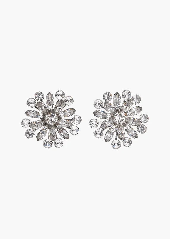 Once-A-Year Jewelry Deals – Shop Before They’Re Gone Ariah Earrings -- Crystal